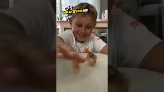 This boy has incredible chick talent 🫢