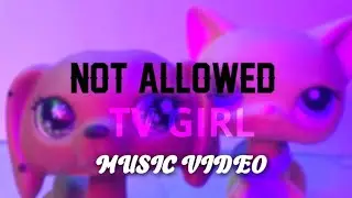 Lps not allowed- Tv girl mv (Flash ⚠️warning epilepsy)