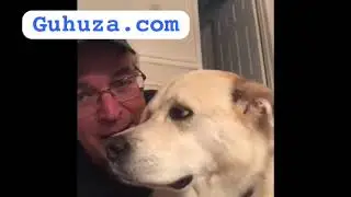 Applying to be a police dog. #Guhuza