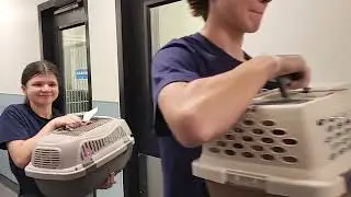 SPOT 127 Bootcamp: Arizona Humane Society - Esha Mulimani Reporting