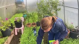 Что необходимо сделать перед тем, как перенести растения в дом!
