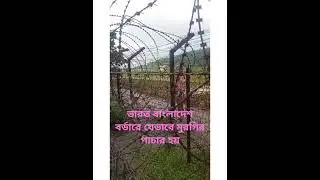 ভারত বাংলাদেশে বর্ডারে যেভাবে মুরগি পাচার হয় #food #cooking #recipe