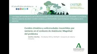 Ponencia 1 - Carolina Sánchez - Jornada Osman Vectores