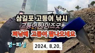 삼길포 고등어 낚시 찌낚시 에 고등어 잘나오네요 ~