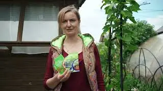 SS 104Советы и секреты |