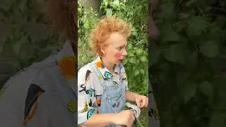 150+150=?