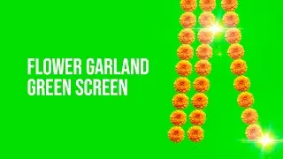 Indian Marigold Flower Garland Green Screen  | flower mala green Screen | Full HD 1920x1080