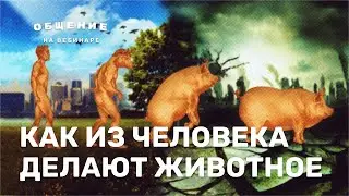 Как из человека делают животное и как улучшить ситуацию? Общение на вебинаре.