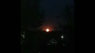 Sp4ceHxnt3R - Moonlight Path