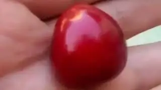 Необычная вишня с членом.