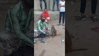 Monkey on the Way