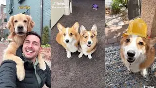 Funny Hammy & Olivia TikTok 2023 | Best Hammy & Olivia TikToks