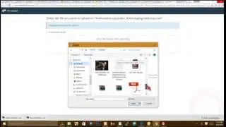 Change WordPress Domain - Create Staging Site