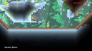 | Terraria | CONSOLE | Zoom into your character! 