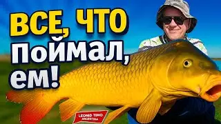 🎣 НЕВЕРОЯТНАЯ РЫБАЛКА. 🐟💥45 ОГРОМНЫХ КАРПОВ!