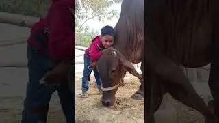ये देखिये मस्ती कर रहा है