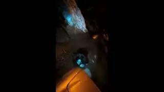 Неадекватые пешеходы, 18+