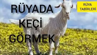 RÜYADA KEÇİ GÖRMEK rüya tabirleri