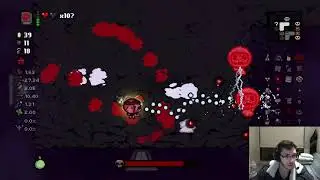 Laz to Hush and Delirium