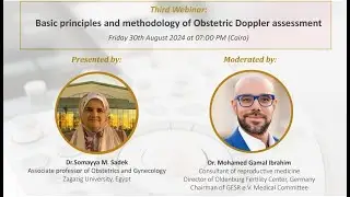 Doppler US in Gyn & Obs Workshop 2024: Dr. Somayya Sadek Basic Principles&methodology of Obs doppler
