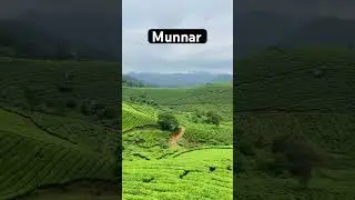 Munnar best place #munnar #munnarhills #munnartouristplaces #munnardays #yt #ytshort #ytviral