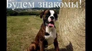Будем знакомы! 7 честных ответов/Знакомство с подписчиками и гостями/Эстафета 