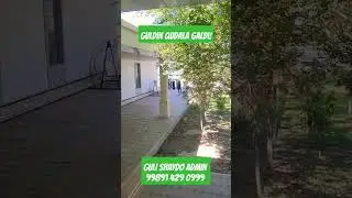 Guli Shaydo Admin 99891 429 0999 #live #топ #music #shorts #short #shortvideo #shortsvideo #love
