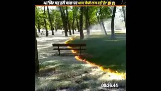 आखिर यह हरी घास पर आग कैसे लग रही है? 🤔😱