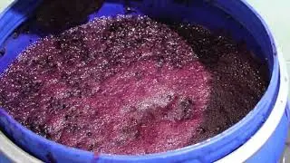 Part 2: Dry red wine at home.