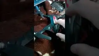 Skytech TK110 problem turning on