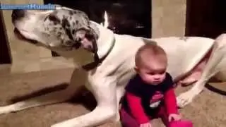 Смешное про детей и животных