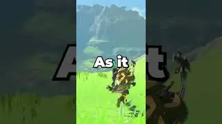 I Found A SECRET ROOM In Tears of the Kingdom... #totk #shorts #botw