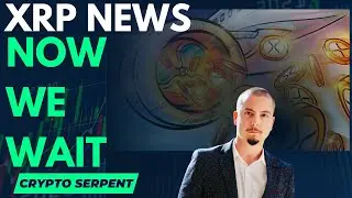 XRP NEWS | RIPPLE VS SEC | URGENT XRP NEWS | CRYPTO SERPENT MELBOURNE FEBRUARY 3 EVENT
