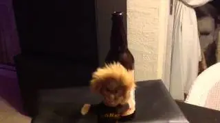 Wheat Wine Ale