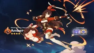Rare Character in Genshin Impact!