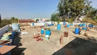 overview of my terrace garden (the year 2023) #terracegardening