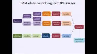 Overview of the ENCODE Data Portal - Eurie Hong