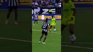 TODOS OS ÂNGULOS DO GOLAÇO DE ENDRICK CONTRA O BOTAFOGO