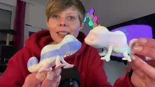 PLA beim 3D-Druck einfärben? So gehts!