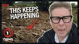 Why it floods wood on New Zealand’s East Coast | 1News' John Campbell
