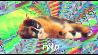 Сливки Шоу | RYTP Mobile |
