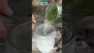 Making Sprite from Pine Needles!