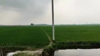 Nepal ko होचो ठाउँ Kechana