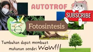 Fotosintesis | Materi IPA SMP
