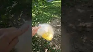 #samsung #slowed #slowmotion #шарик #блёстки #настроение #видео #москва #хамовники #россия #лето