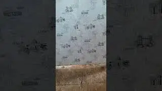 Сгнил деревянный пол