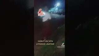 testimoni mendarat 3 ekor betina di PASURUAN-JATIM 