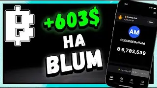 BLUM как посчитать прибыль? ГАЙД + Вывод средств