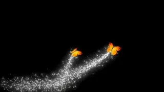 glowing butterfly black screen | butterfly black screen effect | black screen butterfly flying
