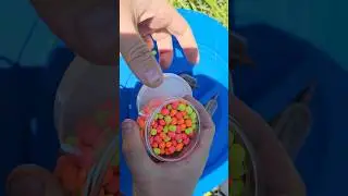 Флэт Фидер #флэтфидер #fishing #рыбалка #ловлякарпа #carpfishing #ловлярыбы #flatfeeder #carp